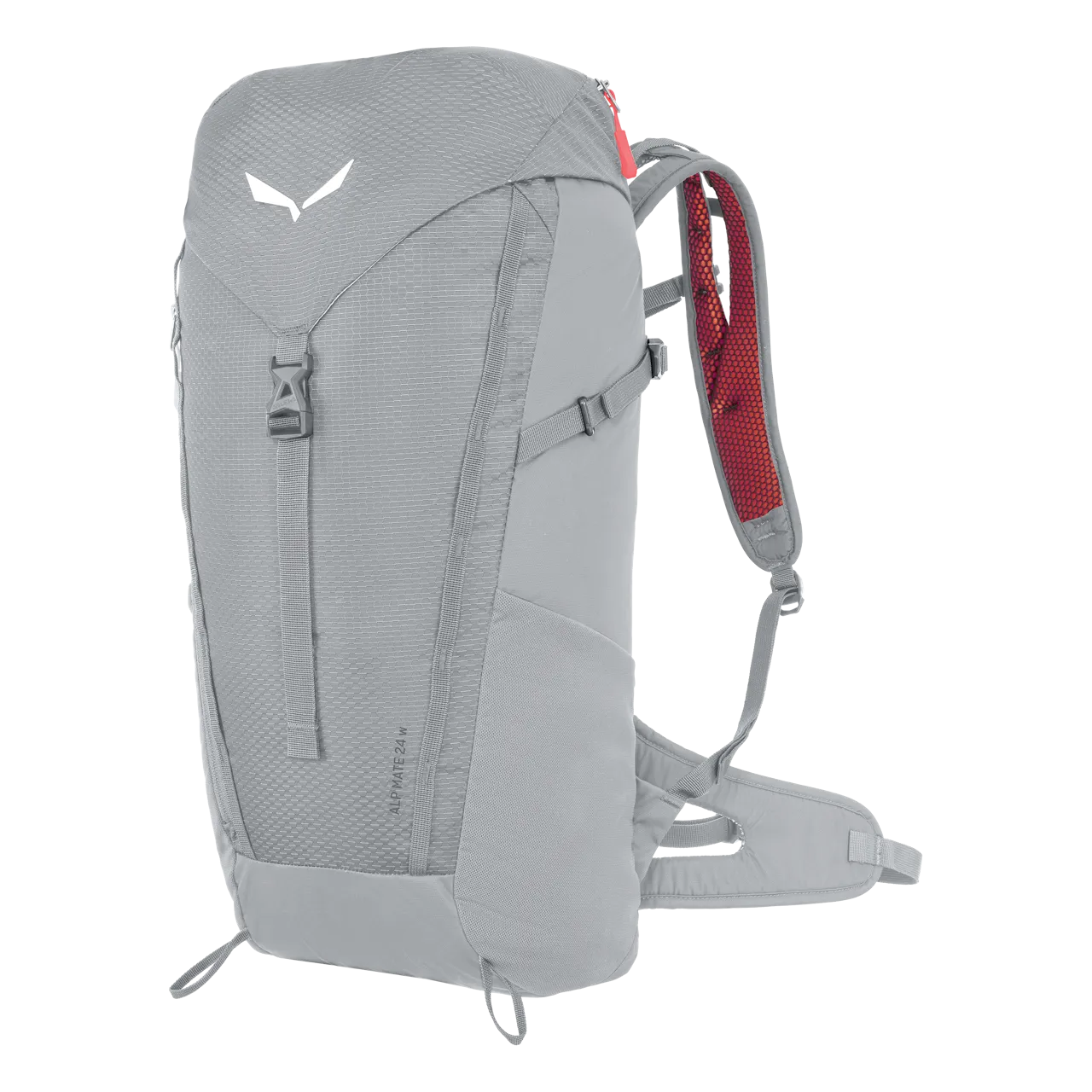 Alp Mate 24L Backpack - Alloy