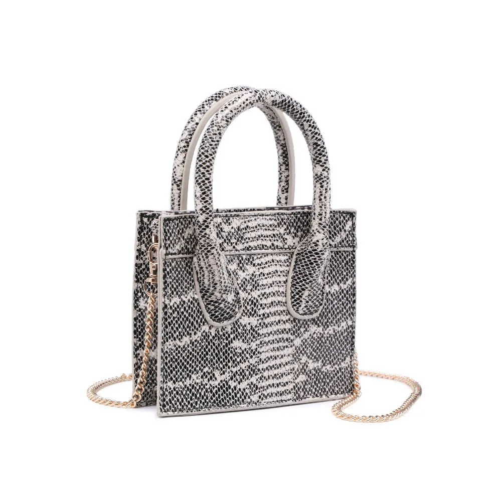 Daria - Snake Crossbody